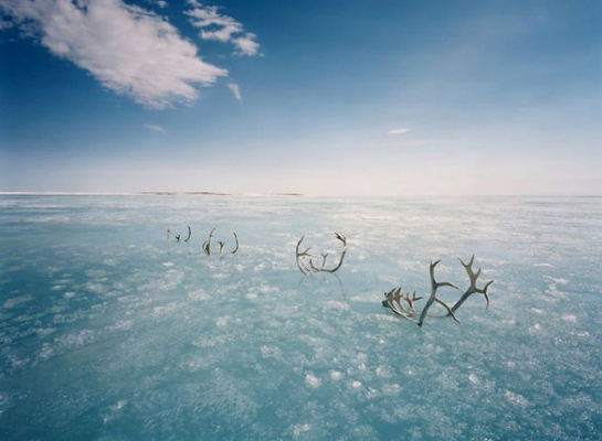 scarlett hooft graafland - journey